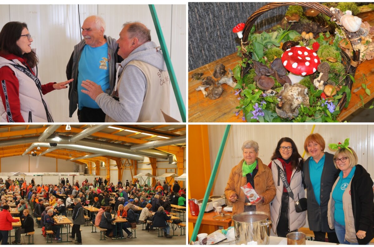 MixCollage-06-Apr-2025-11-25-AM-2675