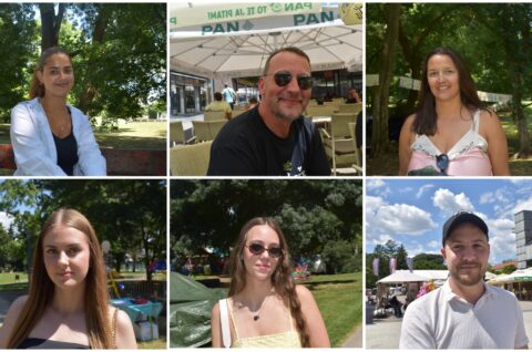 MixCollage-06-Aug-2025-04-19-PM-9540 MixCollage-06-Aug-2025-04-19-PM-9540