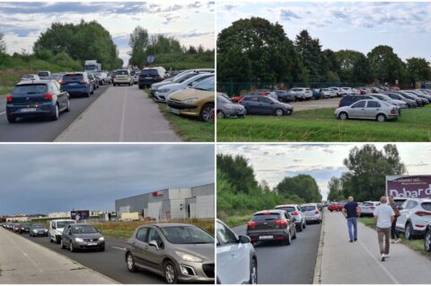 MixCollage-06-Aug-2025-09-33-AM-833