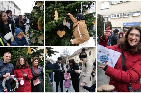 MixCollage-06-Dec-2025-11-38-AM-2264 MixCollage-06-Dec-2025-11-38-AM-2264