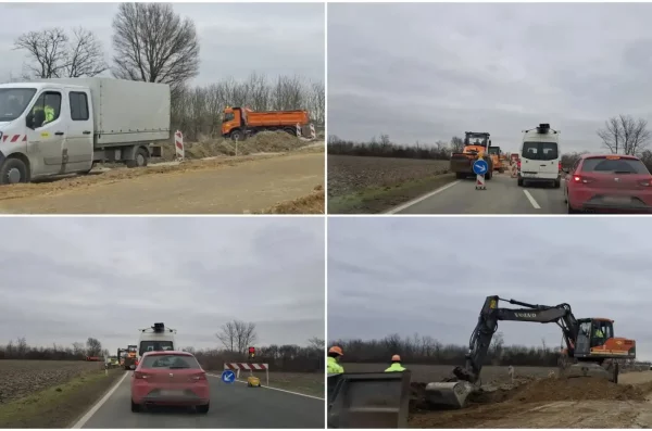 MixCollage-06-Feb-2025-05-25-PM-9311