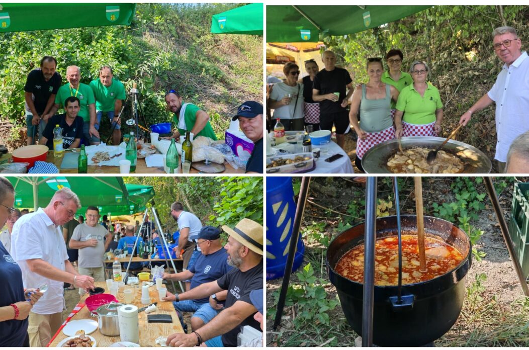 MixCollage-06-Jul-2025-12-18-PM-9133