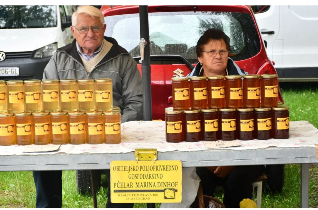 MixCollage-06-Sep-2025-03-44-PM-9284 MixCollage-06-Sep-2025-03-44-PM-9284