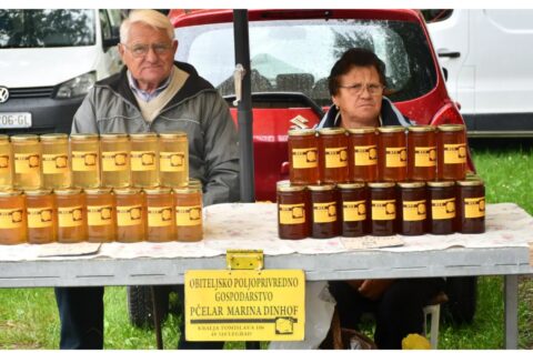 MixCollage-06-Sep-2025-03-44-PM-9284