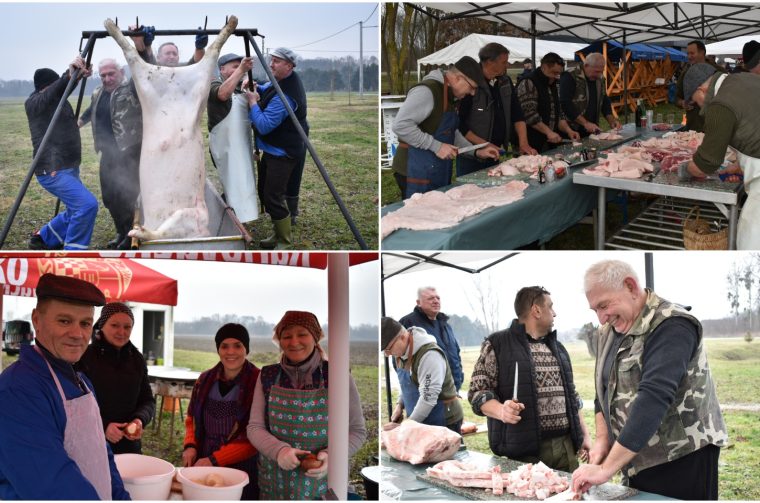 MixCollage-07-Feb-2026-10-17-AM-5404