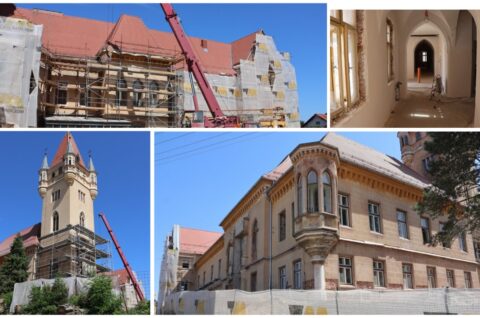 MixCollage-07-Jul-2025-03-58-PM-6222 MixCollage-07-Jul-2025-03-58-PM-6222