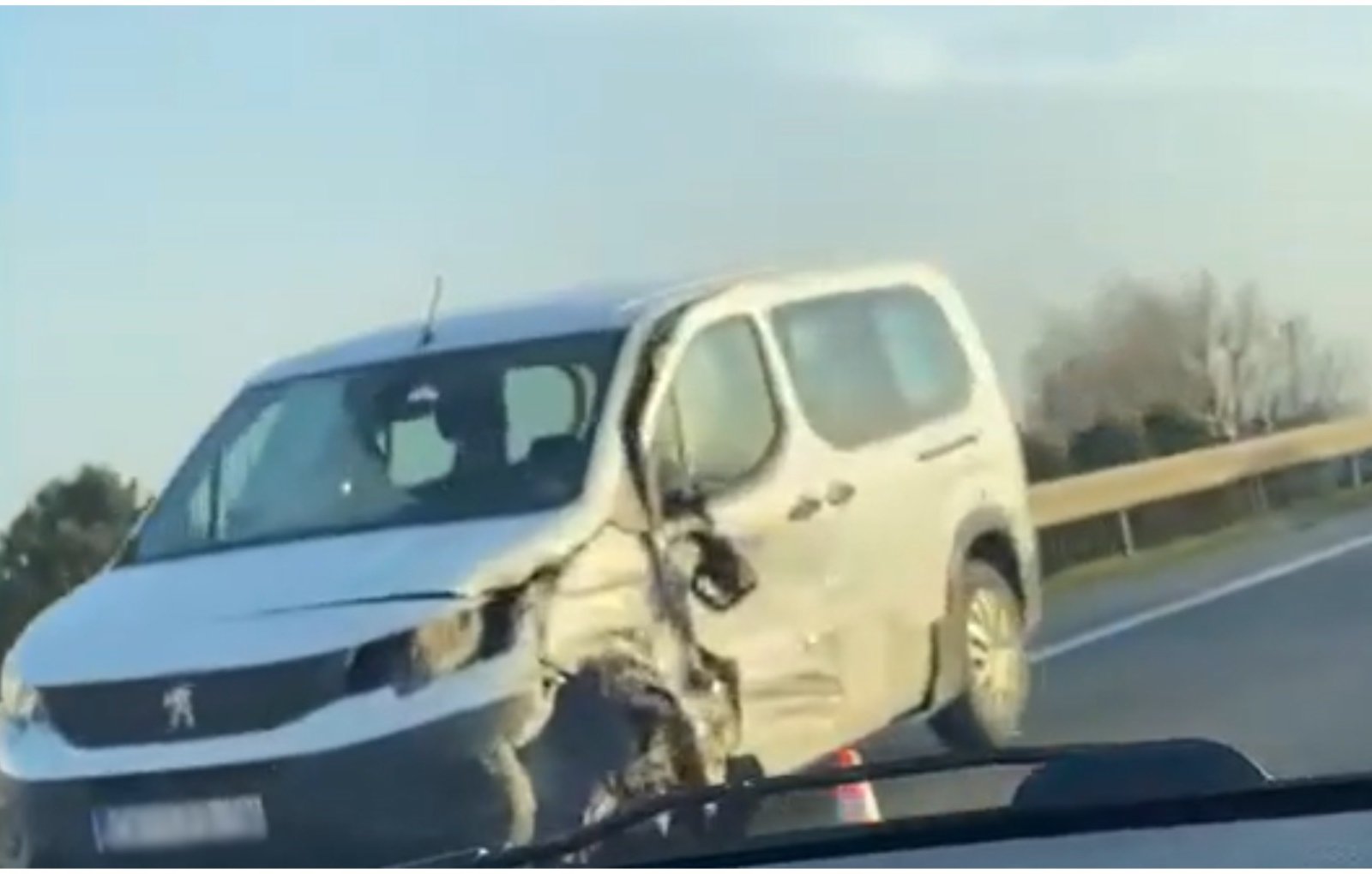 MixCollage-07-Mar-2025-05-16-PM-8994 MixCollage-07-Mar-2025-05-16-PM-8994