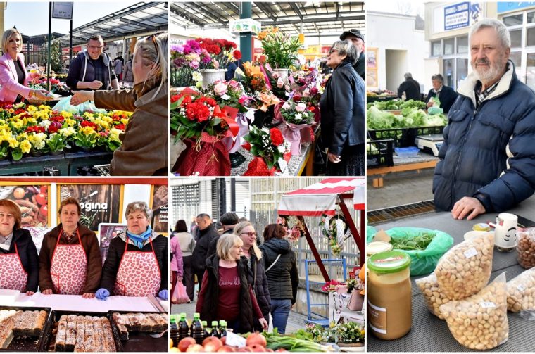 MixCollage-07-Mar-2026-02-21-PM-8853