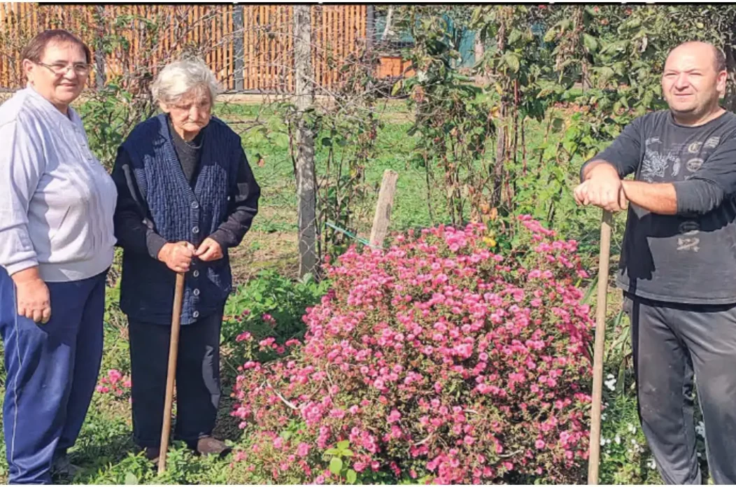 MixCollage-07-Nov-2024-03-23-PM-4492 MixCollage-07-Nov-2024-03-23-PM-4492