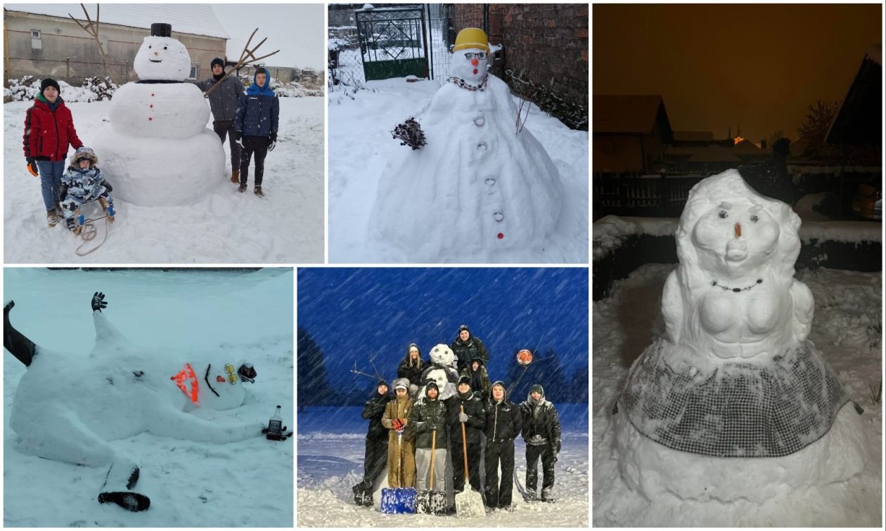 MixCollage-08-Jan-2026-04-40-PM-6737