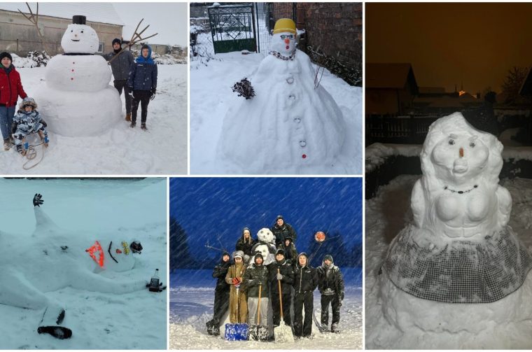 MixCollage-08-Jan-2026-04-40-PM-6737