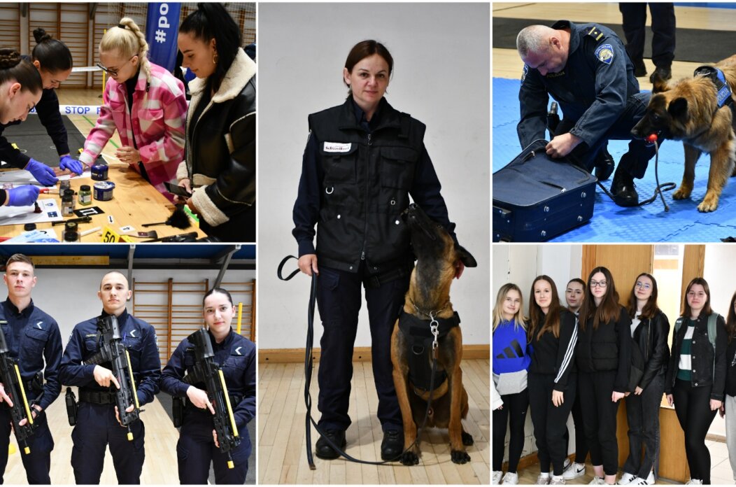 MixCollage-08-May-2025-11-08-AM-7022