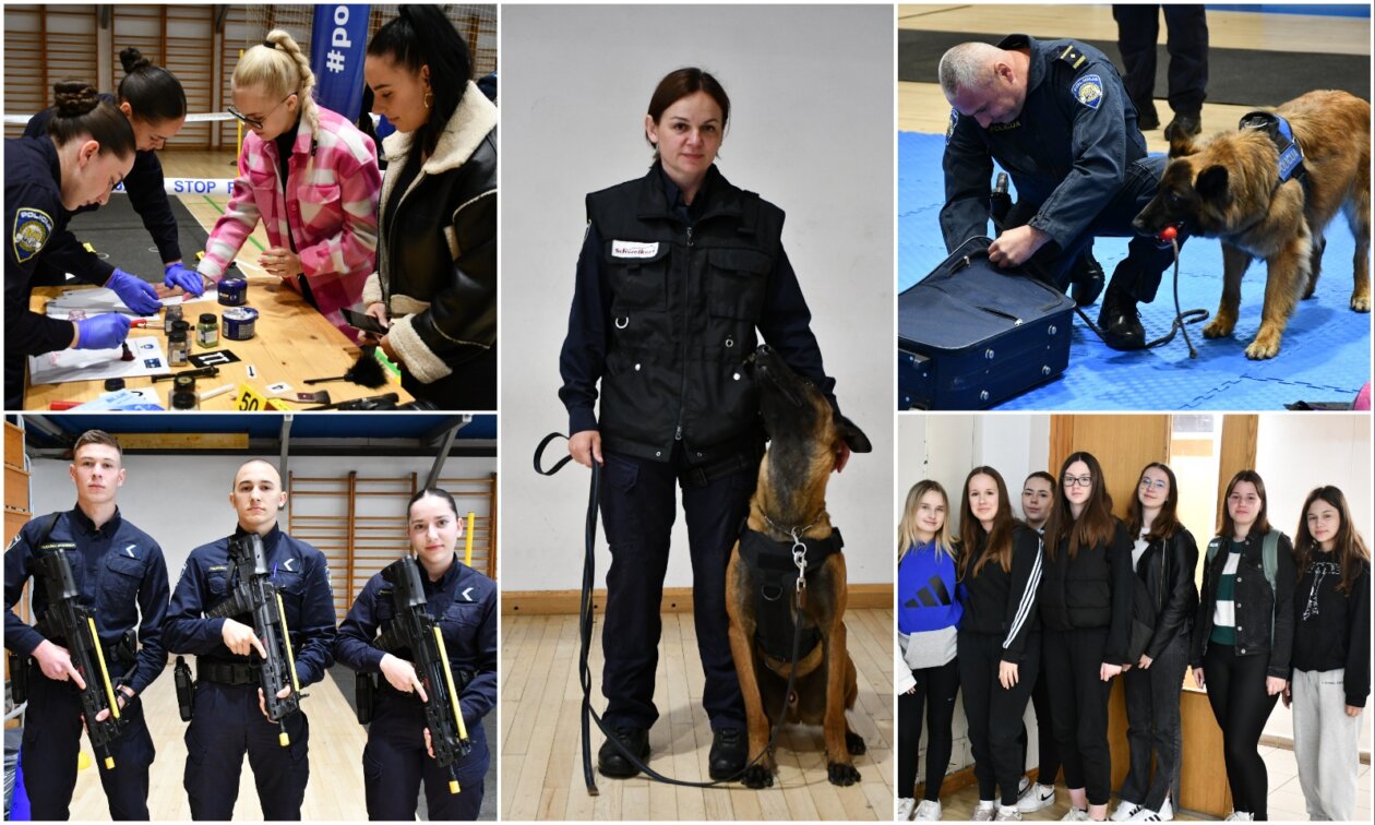 MixCollage-08-May-2025-11-08-AM-7022