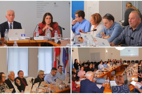 MixCollage-08-Oct-2025-02-53-PM-6659