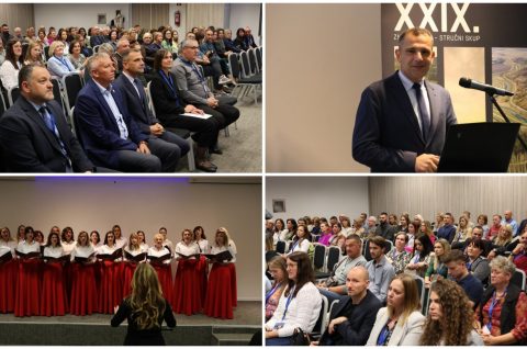 MixCollage-08-Oct-2025-11-13-AM-6572