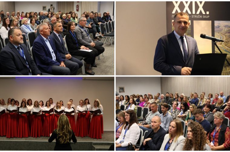 MixCollage-08-Oct-2025-11-13-AM-6572