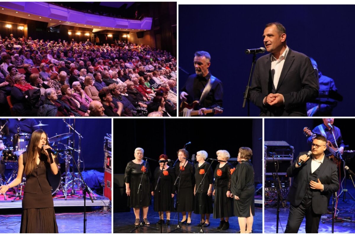 MixCollage-09-Apr-2025-11-27-AM-9415