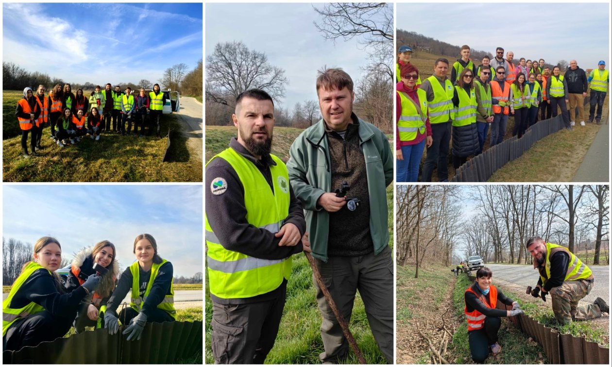 MixCollage-09-Mar-2025-07-54-AM-9335