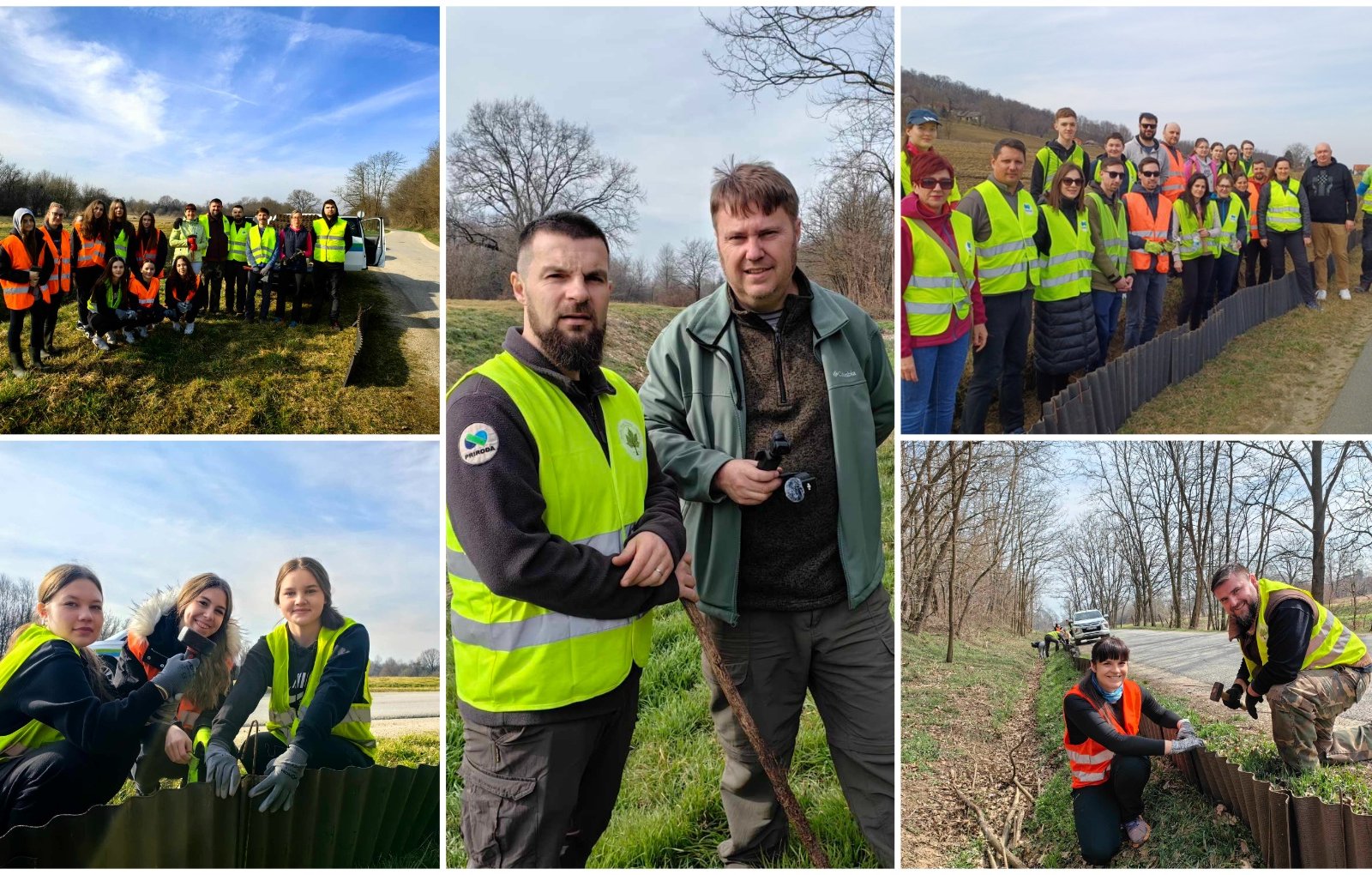 MixCollage-09-Mar-2025-07-54-AM-9335