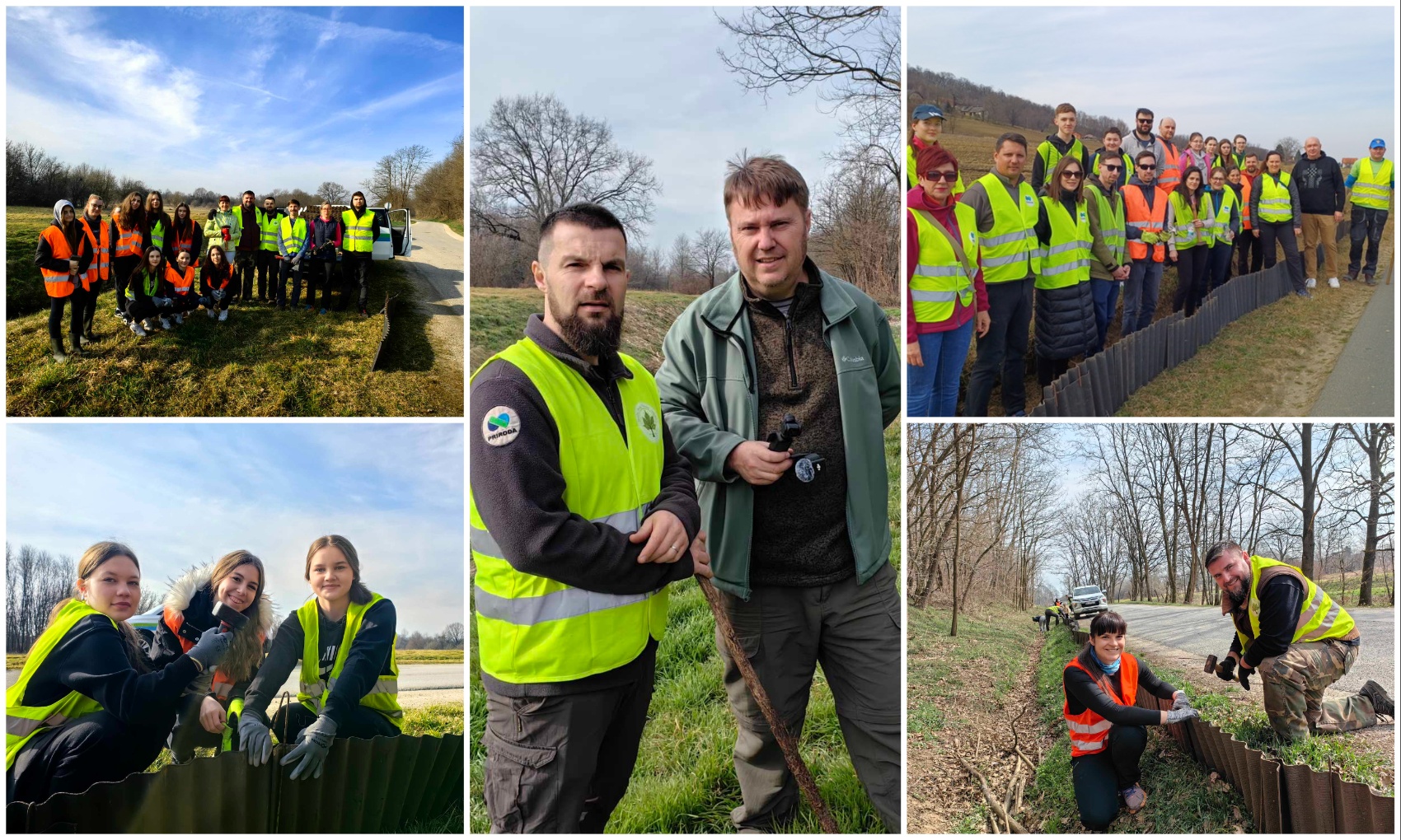 MixCollage-09-Mar-2025-07-54-AM-9335