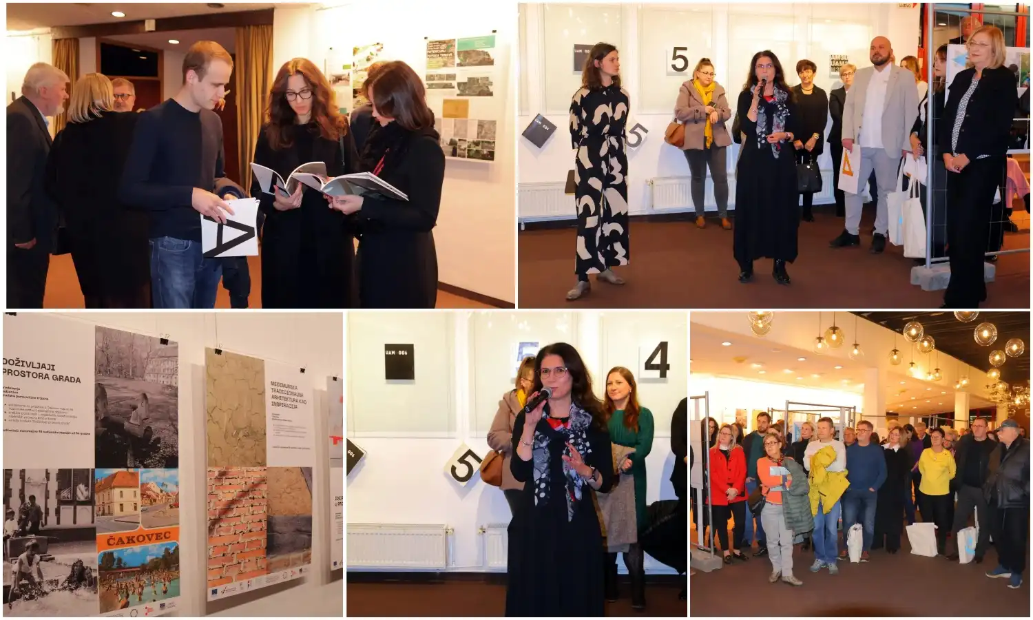 MixCollage-09-Nov-2024-01-33-PM-943