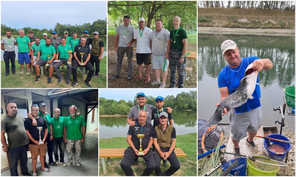 MixCollage-09-Sep-2025-01-06-PM-3211 MixCollage-09-Sep-2025-01-06-PM-3211