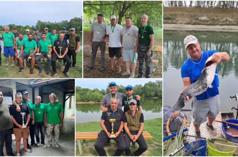 MixCollage-09-Sep-2025-01-06-PM-3211