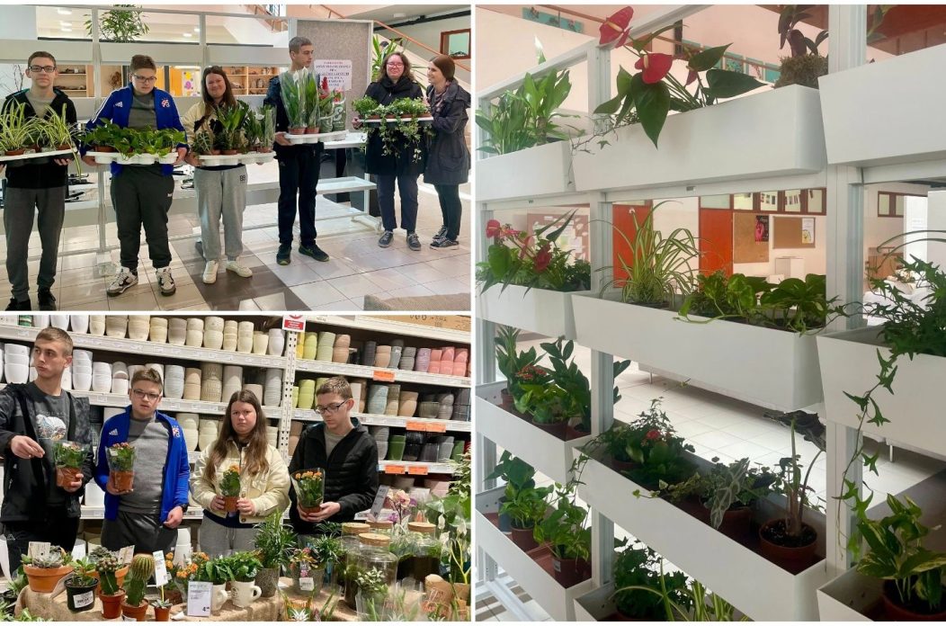 MixCollage-10-Apr-2026-05-46-PM-5656 MixCollage-10-Apr-2026-05-46-PM-5656