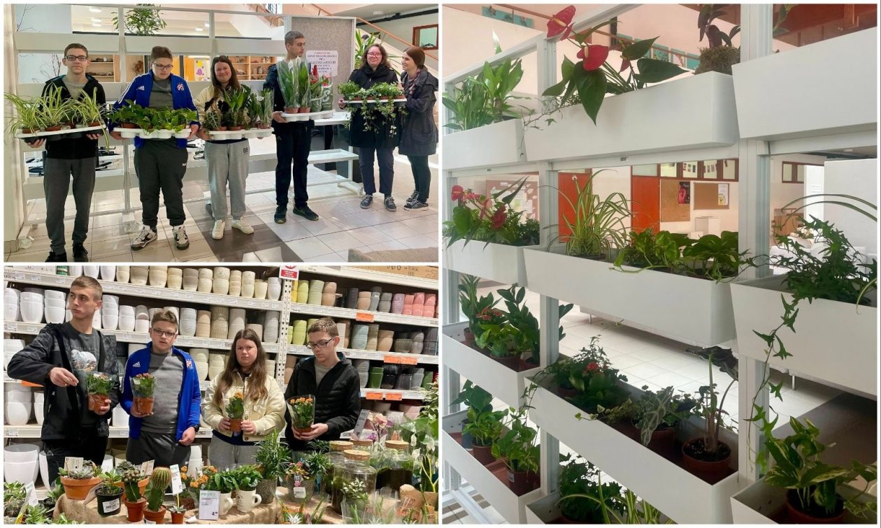 MixCollage-10-Apr-2026-05-46-PM-5656 MixCollage-10-Apr-2026-05-46-PM-5656