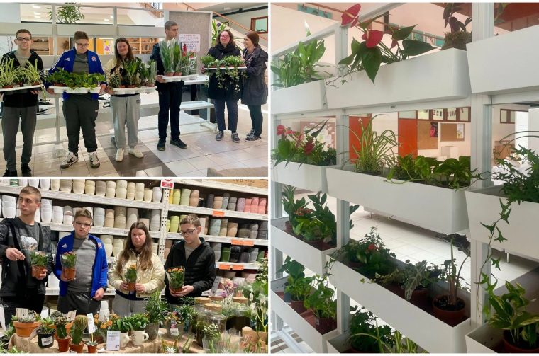 MixCollage-10-Apr-2026-05-46-PM-5656 MixCollage-10-Apr-2026-05-46-PM-5656