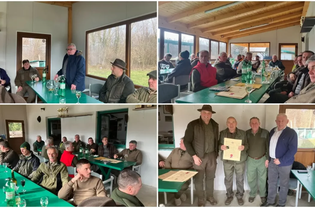 MixCollage-10-Feb-2025-08-56-AM-904 MixCollage-10-Feb-2025-08-56-AM-904