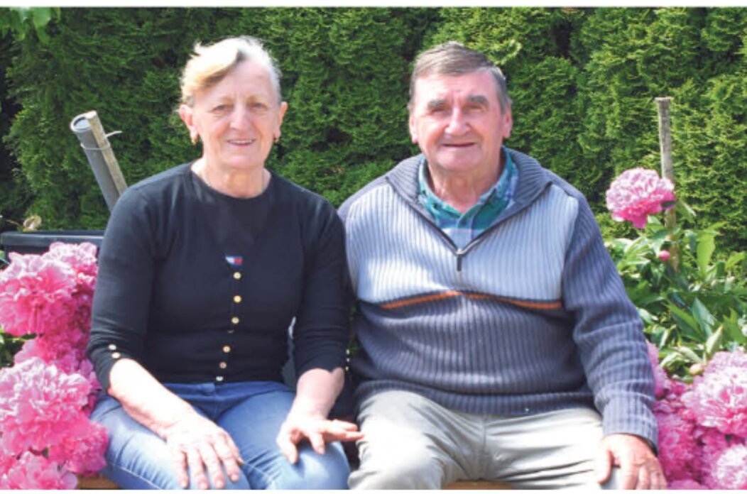 Agneza Kovačić Agneza Kovačić