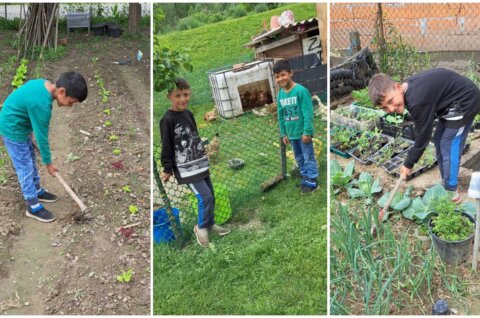 MixCollage-10-May-2025-09-35-AM-7551 MixCollage-10-May-2025-09-35-AM-7551