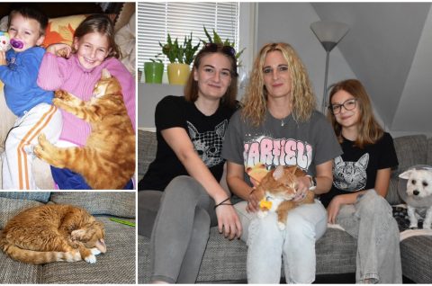 MixCollage-10-Oct-2025-03-44-PM-2019