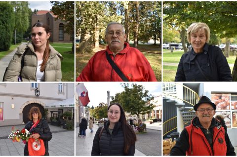 MixCollage-10-Oct-2025-08-16-PM-3428