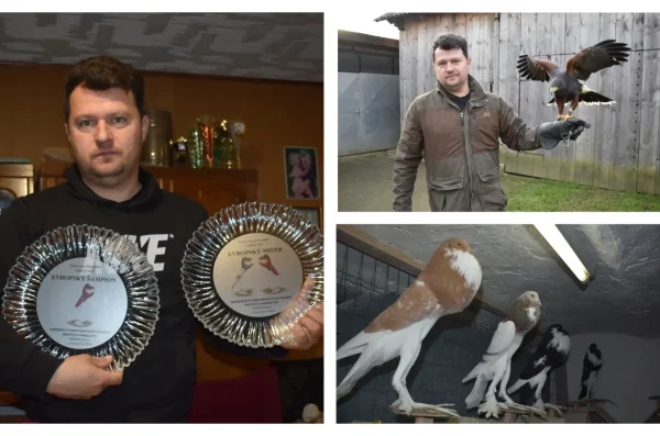 MixCollage-11-Jan-2025-06-18-PM-9348