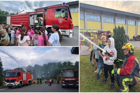 MixCollage-11-Jul-2025-08-55-PM-3781 MixCollage-11-Jul-2025-08-55-PM-3781