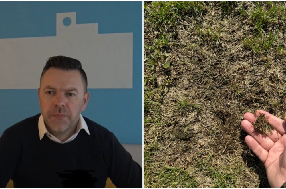 MixCollage-11-Mar-2025-04-52-PM-4318