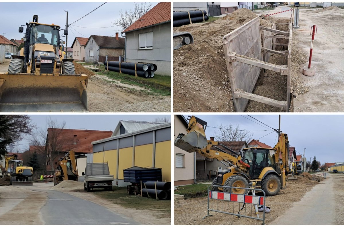 MixCollage-11-Mar-2025-07-48-AM-9442 MixCollage-11-Mar-2025-07-48-AM-9442