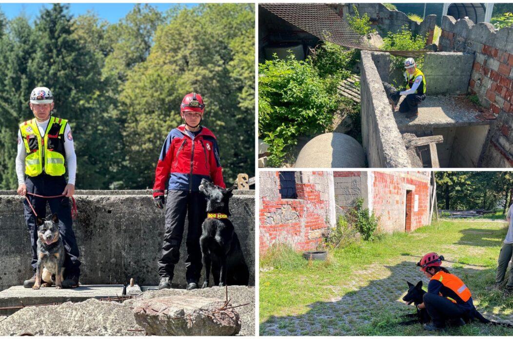 MixCollage-12-Aug-2025-05-05-PM-2660