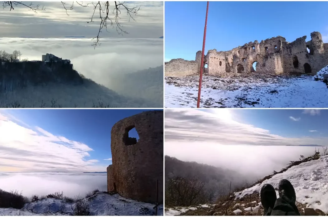 MixCollage-12-Jan-2025-11-00-AM-7644