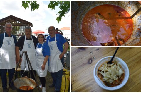 MixCollage-12-Jun-2025-03-15-PM-9098 MixCollage-12-Jun-2025-03-15-PM-9098