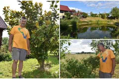 MixCollage-12-Jun-2025-03-53-PM-3830 MixCollage-12-Jun-2025-03-53-PM-3830