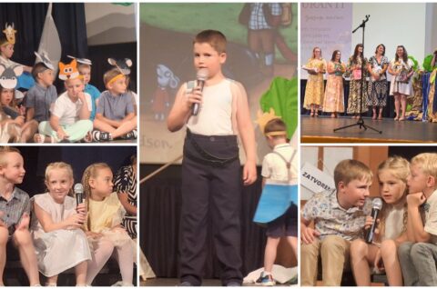 MixCollage-12-Jun-2025-05-00-PM-5956