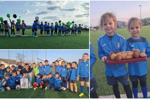 MixCollage-12-Mar-2026-11-57-AM-260