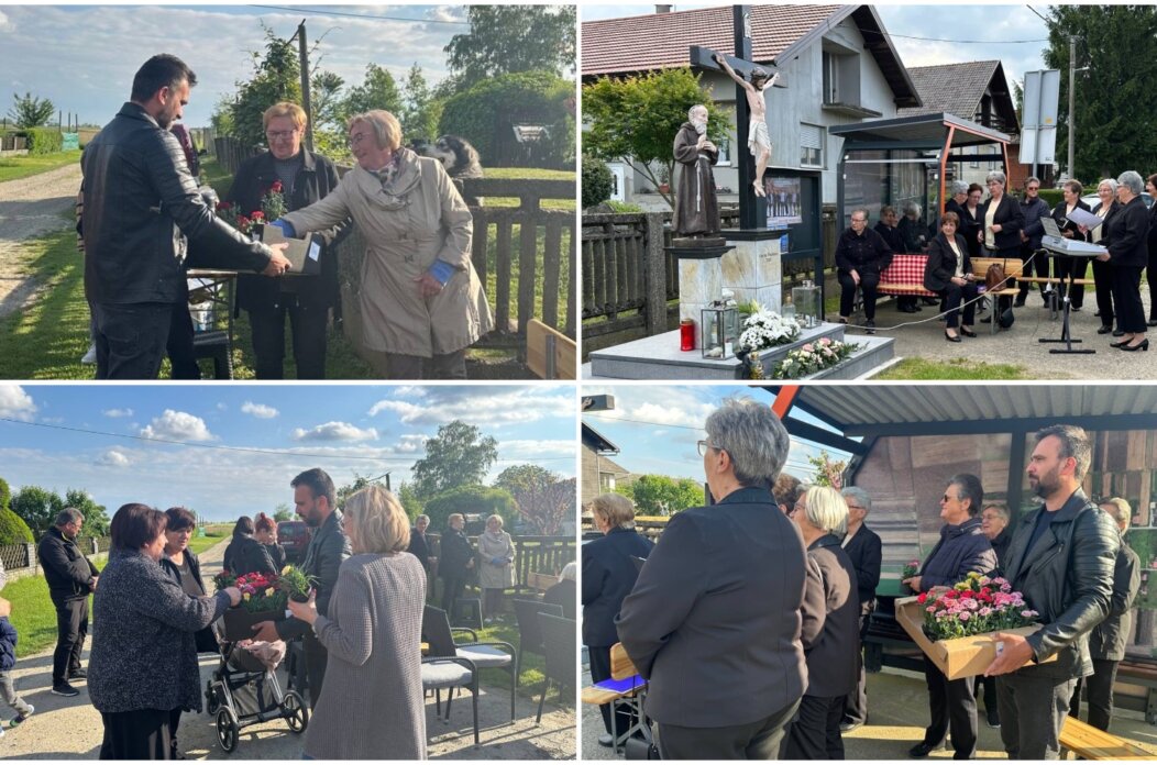 MixCollage-12-May-2025-07-05-PM-8304