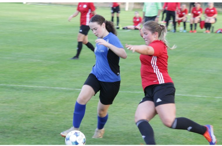 MixCollage-12-Oct-2025-02-28-PM-9690