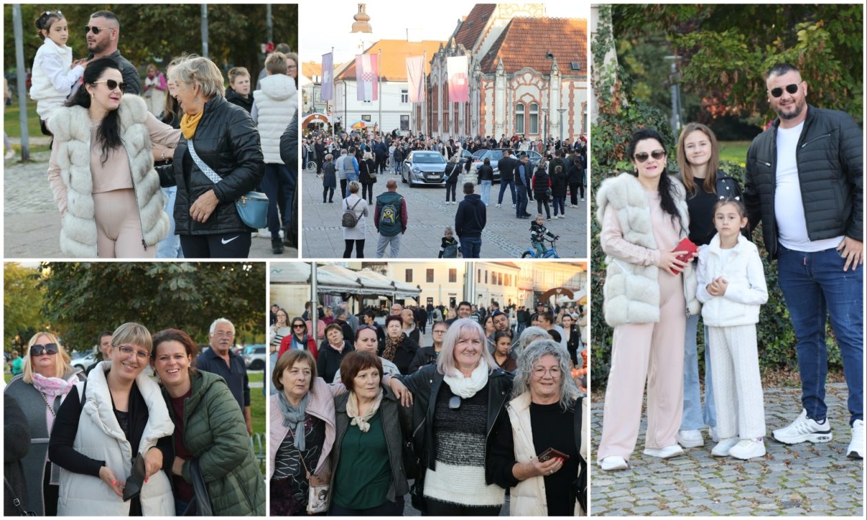 MixCollage-12-Oct-2025-06-05-PM-3560