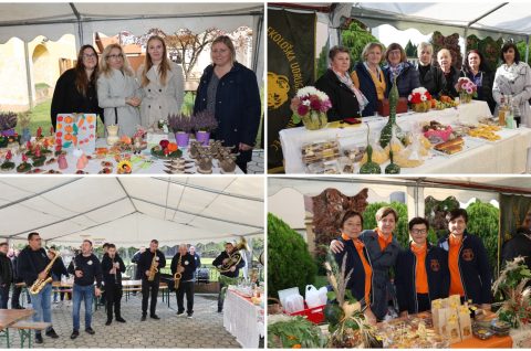 MixCollage-12-Oct-2025-11-04-AM-7856 MixCollage-12-Oct-2025-11-04-AM-7856