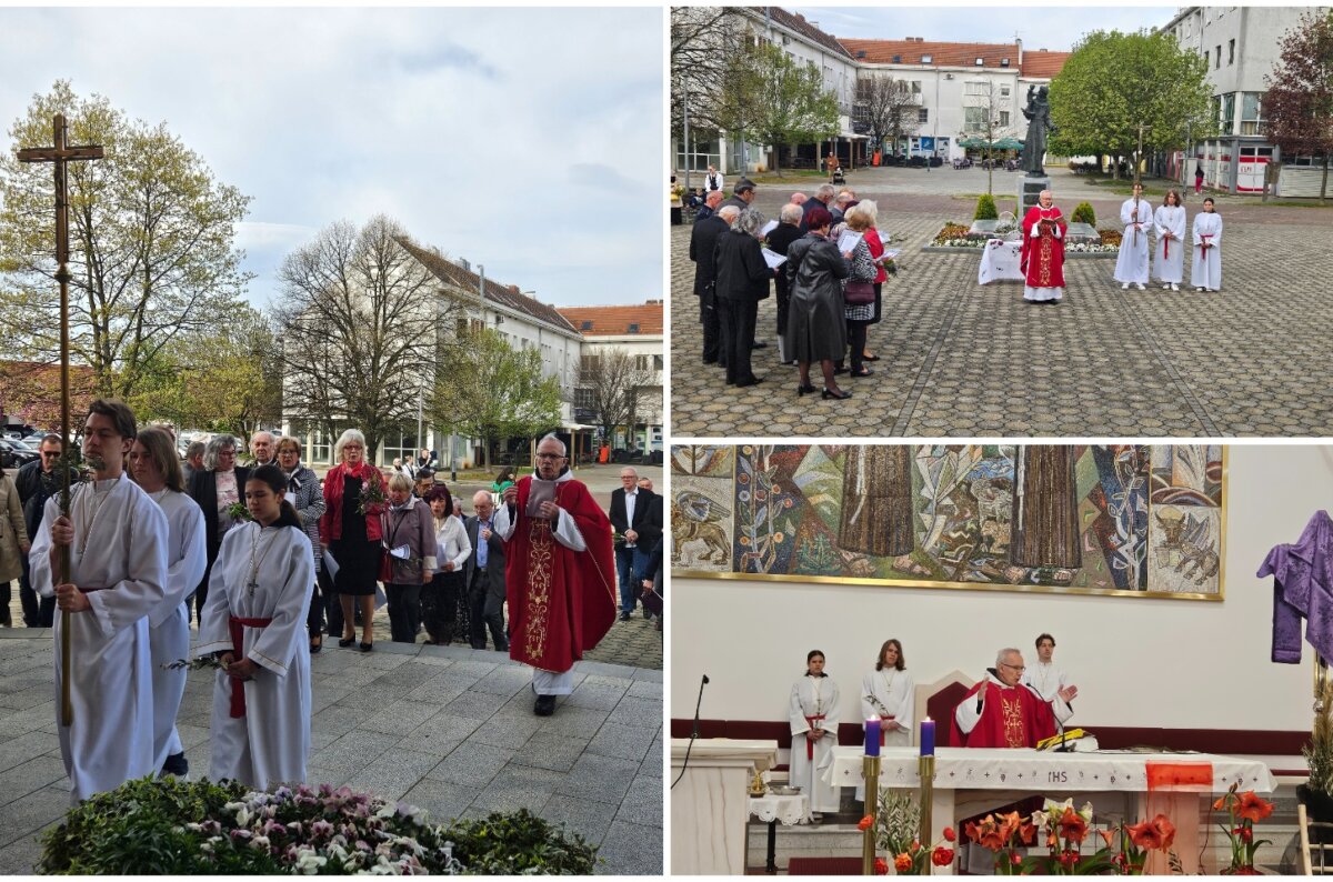 MixCollage-13-Apr-2025-12-15-PM-8720